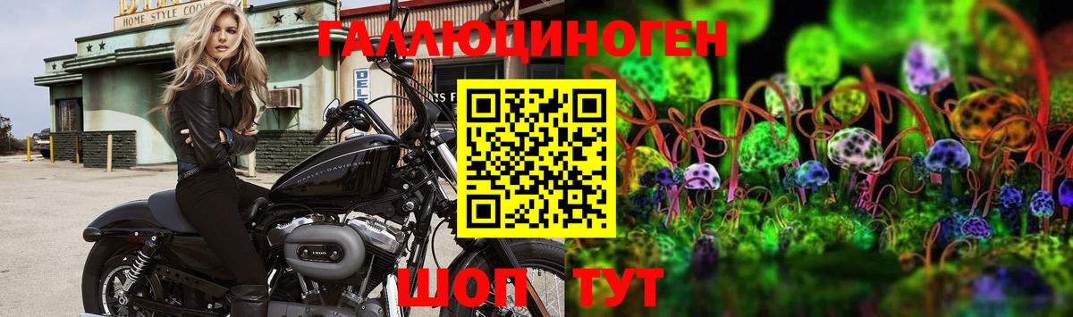 Псилоцибиновые грибы MAGIC MUSHROOMS Магадан